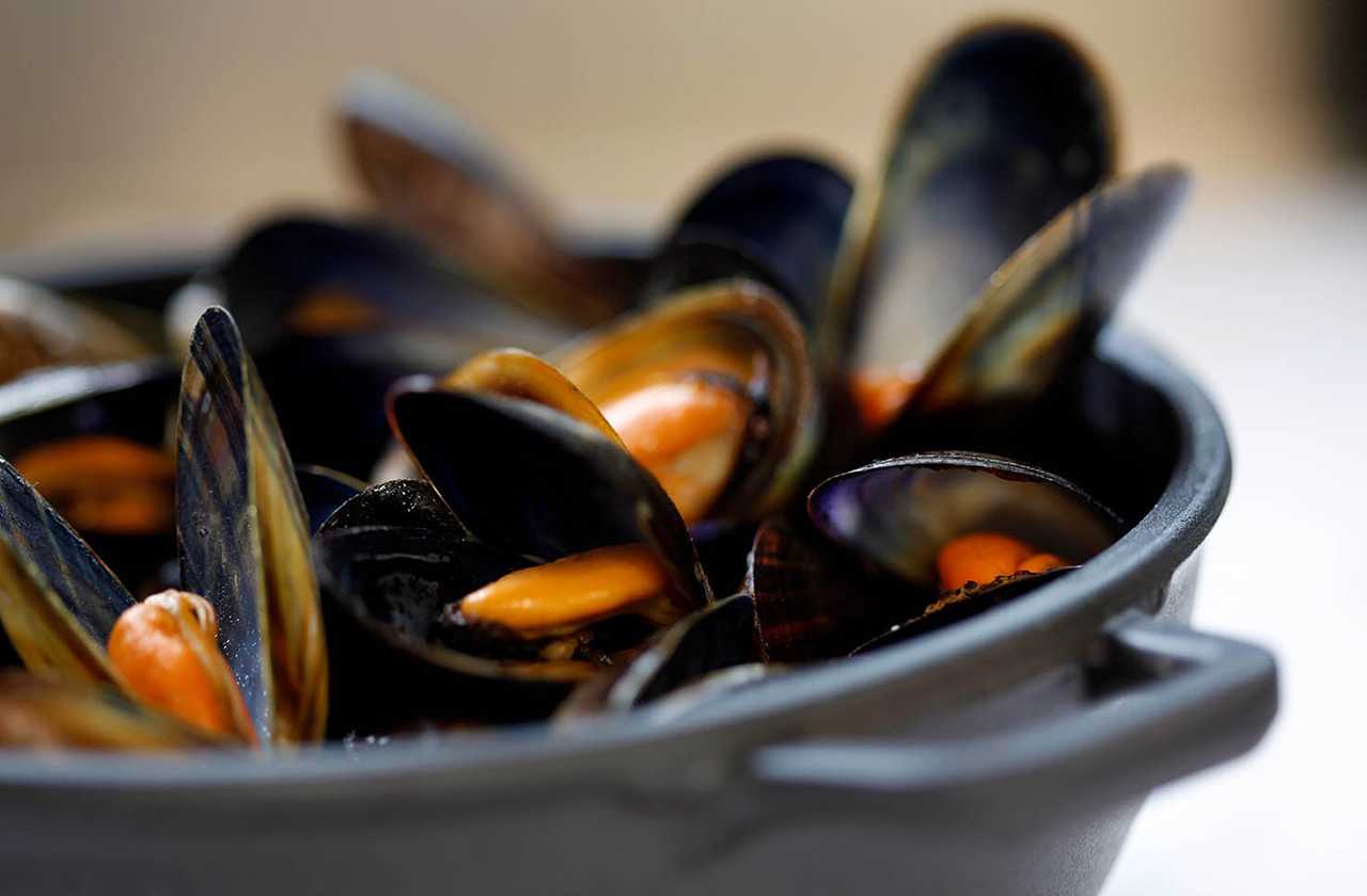 Bowl of mussels